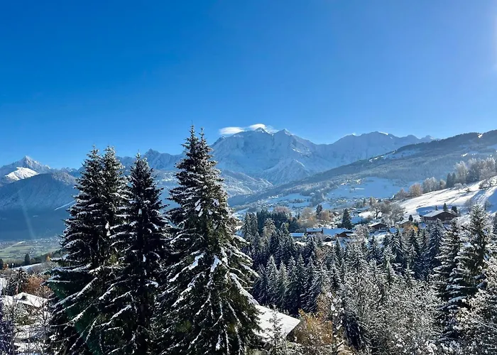Apartamento Le Loup Du Vernay Combloux