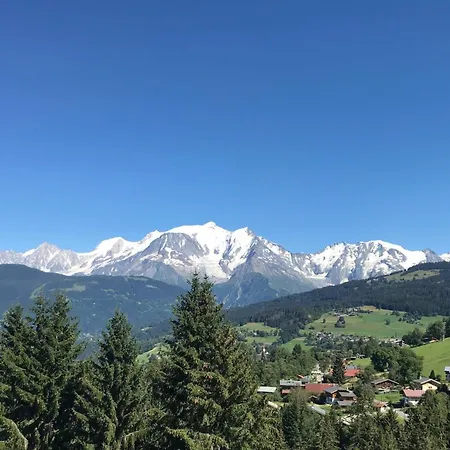 Superb Cosy With Balcony Lejlighed Combloux