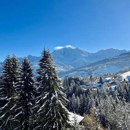 Lejlighed Superb Cosy With Balcony Combloux